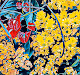 Flower Feelings
