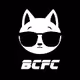 Bad Cats Fight Club
