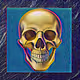 Smooth Skulls - One of One