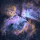 CARINA 3372