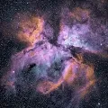 CARINA 3372