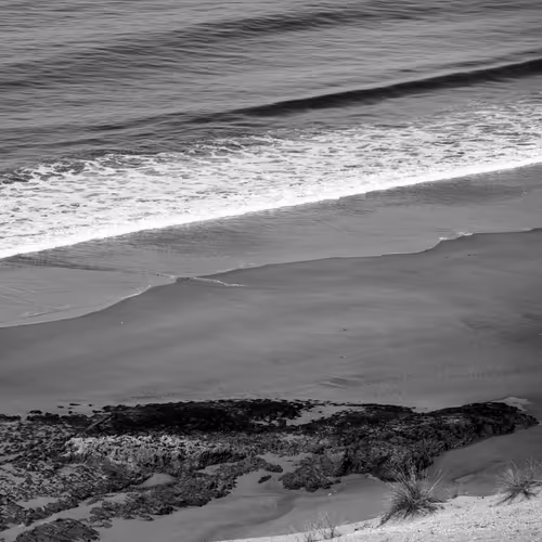 Spirit of Black and White