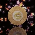 Bitchcoin