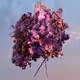 SKY SCULPTURE by Sculpture.eth | Andre Hemer