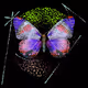 Monarchs.Art