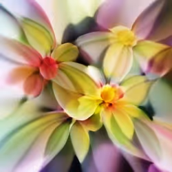 项目媒体占位符