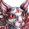 Magical cats.