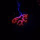 The Neuron