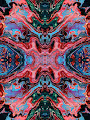 The Symmetry Collection