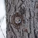 hide_n_seek Collection - old