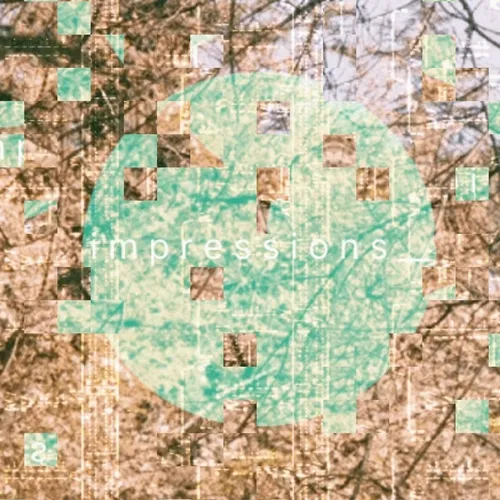 i m p r e s s i o n s __