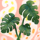 FOLIAGE PLANT - old
