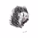 MrPistola's Line Art Movie Collection - old