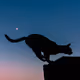 Cat Silhouette