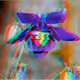 3.D