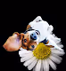 LaZy DaiSy CluB