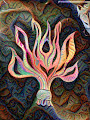 Flame boundle.