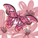 Midnight Butterfly