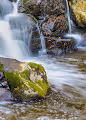 The Beauty in Nature