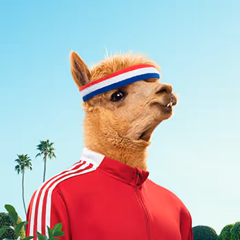 Kingdum by Zack Seckler