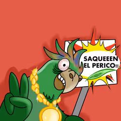 Saquen El Pericoooo!