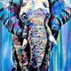 elephant - series