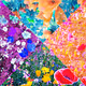 Digital Flower Universe
