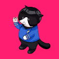 THE BAD CATS