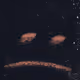 DREAM 404
