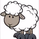 Sheepherder