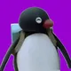 PinguNootNoot