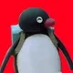 PinguNootNoot
