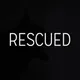 Rescued Shelter Dog Charity Collection