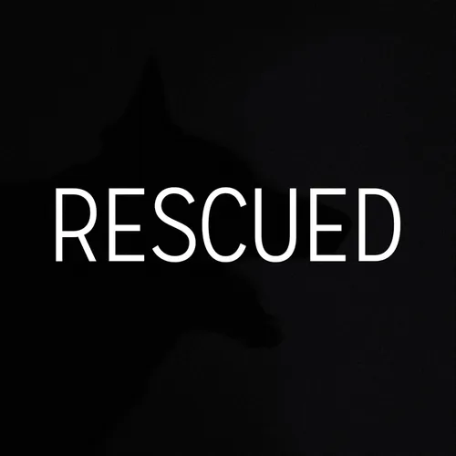Rescued Shelter Dog Charity Collection