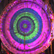 Trippy Festival