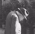 The Magician Memoirs : Black Britain