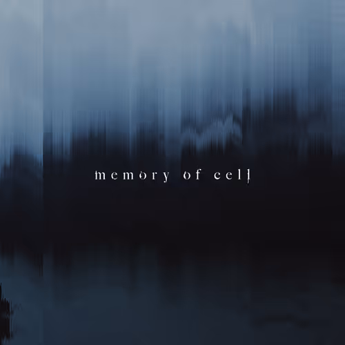 memory of cell