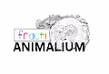 Fracti Animalium