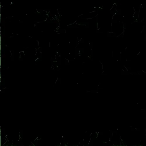 Monica Rizzolli: A Tour of Hypothetical Waterfalls