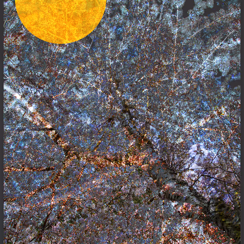 KRC Thank You Editions