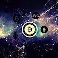 crypto fly