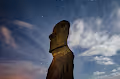 NIGHTONEARTH