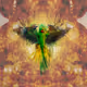 Fine Art Animation
