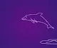 dolphin_jump_jump_jump Collection - old