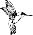 Humming Birds