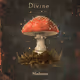 Divine Mushroom Meditation