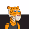Tiger Crazy Gang - old