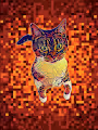 Loly Cat
