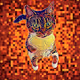 Loly Cat
