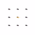 Just fly.